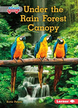 portada Under the Rain Forest Canopy (en Inglés)