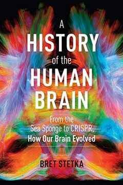 portada A History of the Human Brain: From the sea Sponge to Crispr, how our Brain Evolved (en Inglés)