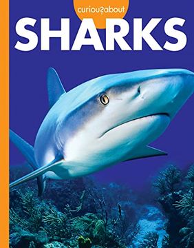 portada Curious About Sharks (Curious About Wild Animals) (en Inglés)