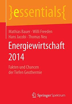 portada Energiewirtschaft 2014: Fakten und Chancen der Tiefen Geothermie (in German)