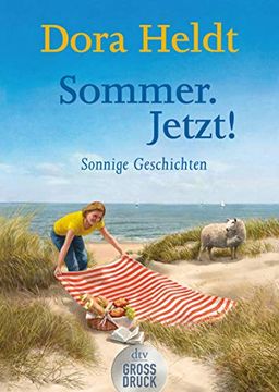 portada Sommer. Jetzt! Großdruck: Sonnige Geschichten (in German)