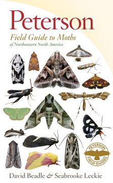 portada peterson field guide to moths of northeastern north america (en Inglés)