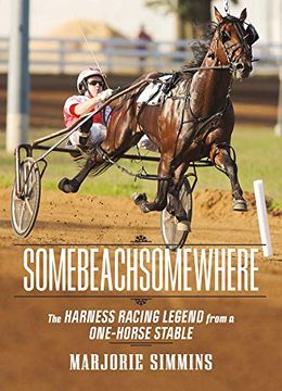 portada Somebeachsomewhere: A Harness Racing Legend From a One-Horse Stable 