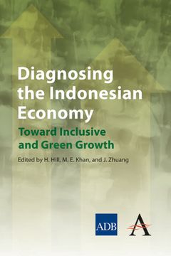 portada diagnosing the indonesian economy (in English)