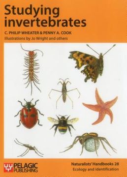 portada Studying Invertebrates (in English)