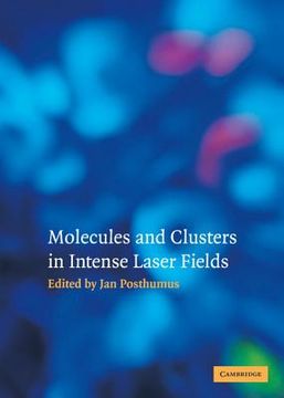 portada Molecules and Clusters in Intense Laser Fields (en Inglés)