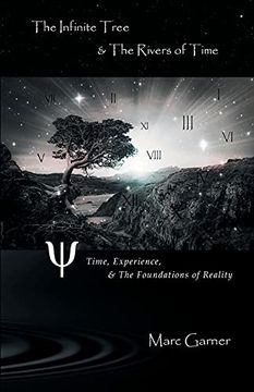 portada The Infinite Tree & the Rivers of Time: Time, Experience, & the Foundations of Reality (en Inglés)