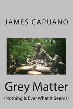 portada Grey Matter: (Nothing is Ever What it Seems) (en Inglés)