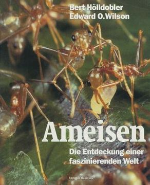 portada Ameisen: Die Entdeckung Einer Faszinierenden Welt (in German)