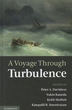 portada a voyage through turbulence