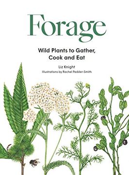 portada Forage: Wild Plants to Gather and eat (en Inglés)