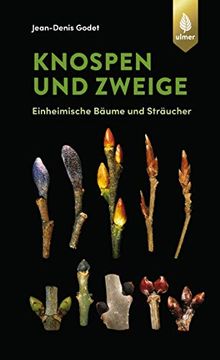 portada Knospen und Zweige: Einheimische Bäume und Sträucher (Godet Naturführer) (en Alemán)