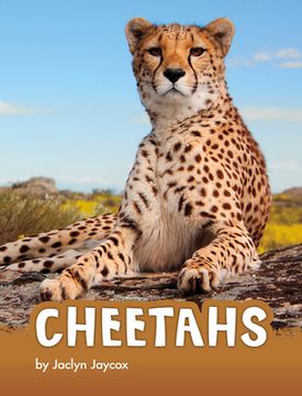 portada Cheetahs (in English)