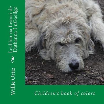 portada Leabhar na Leanai de Dathanna I nGaeilge: Children's book of colors (en Irlanda)