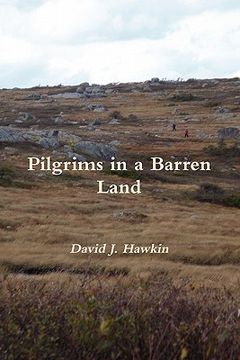 portada pilgrims in a barren land