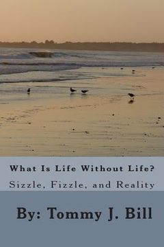 portada What Is Life Without Life: Sizzle, Frizzle, and Reality (en Inglés)