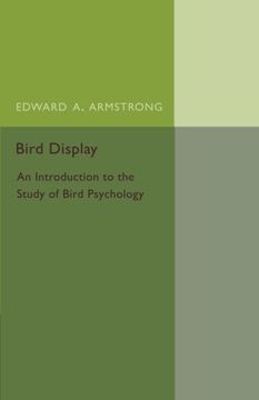 portada Bird Display (in English)