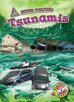 portada Tsunamis