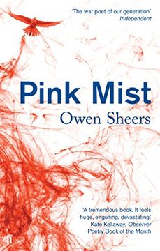 portada Pink Mist