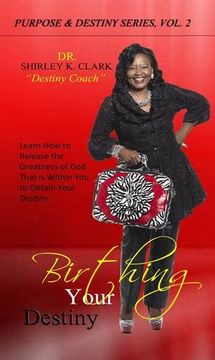 portada Birthing Your Destiny: Learn How to release the greatness of God within you to obtain your destiny.