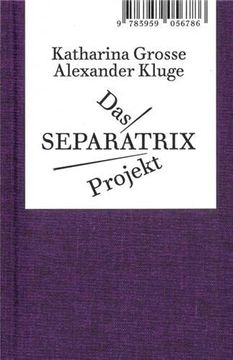 portada Alexander Kluge/Katharina Grosse das Separatrix Project /Allemand (en Alemán)