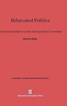 portada Bifurcated Politics (in English)