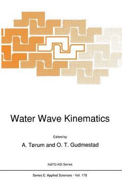 portada Water Wave Kinematics (en Inglés)