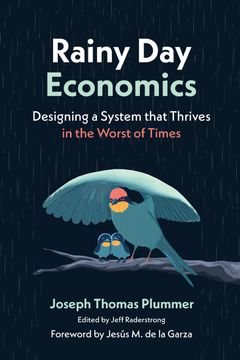 Rainy Day Economics. Designing a System that Thrives in the Worst of Times (en Inglés)