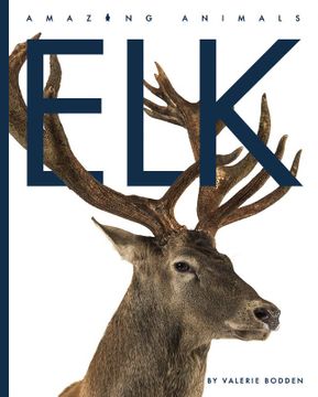 portada Elk (Amazing Animals) (in English)