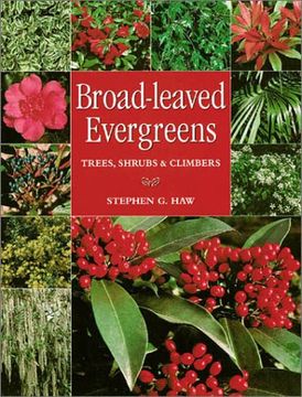 portada Broad-Leaved Evergreens: Trees, Shrubs & Climbers (en Inglés)