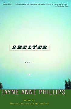 portada Shelter (Vintage Contemporaries) (in English)