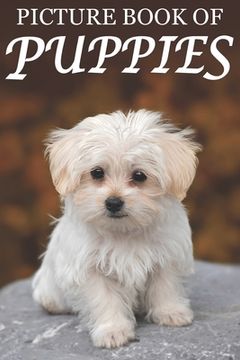 portada Picture Book of Puppies: Picture Book of Puppies: For Seniors with Dementia [Cute Picture Books] (en Inglés)