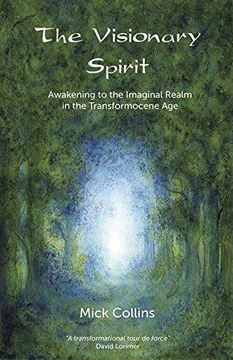 portada The Visionary Spirit: Awakening To The Imaginal Realm In The Transformocene Age 