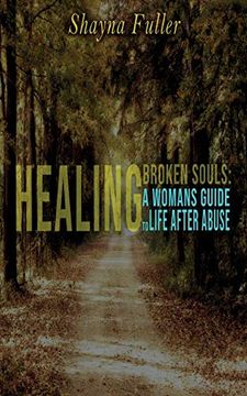 portada Healing Broken Souls: A Woman's Guide to Life After Abuse (in English)