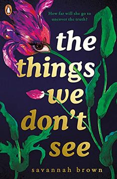 portada The Things we Don'T see (in English)