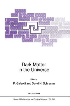 portada Dark Matter in the Universe (en Inglés)