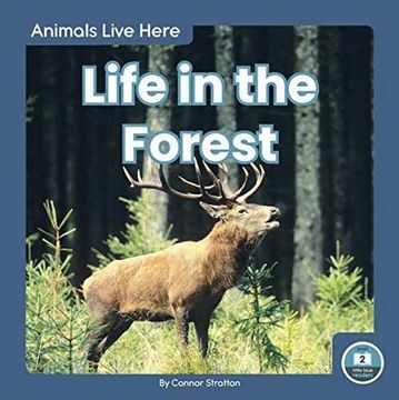 portada Life in the Forest 