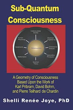 portada Sub-Quantum Consciousness: A Geometry of Consciousness Based Upon the Work of Karl Pribram, David Bohm, and Pierre Teilhard de Chardin (in English)