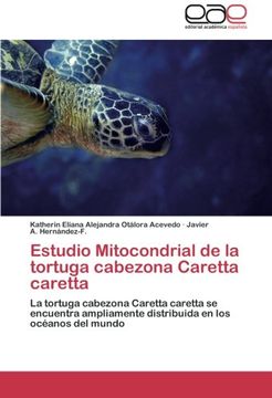 portada Estudio Mitocondrial de la tortuga cabezona Caretta caretta