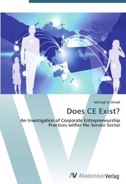 portada Does CE Exist?: An Investigation of Corporate Entrepreneurship Practices within the Service Sector