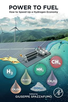 portada Power to Fuel: How to Speed up a Hydrogen Economy (in English)