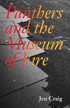 portada Panthers and the Museum of Fire (in English)