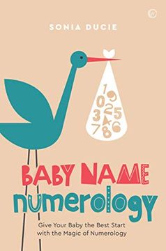 portada Baby Name Numerology: Give Your Baby the Best Start With the Magic of Numbers (in English)