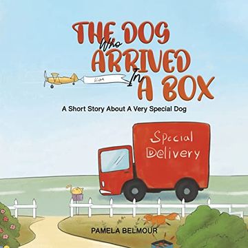 portada The dog who Arrived in a box (en Inglés)