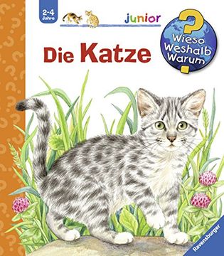 portada Die Katze (in German)