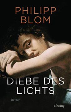 portada Diebe des Lichts: Roman (in German)