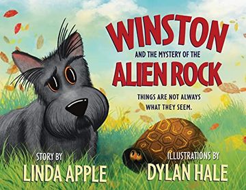 portada Winston and the Mystery of the Alien Rock (Winston's Wisdom) (en Inglés)