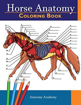 portada Horse Anatomy Coloring Book: Incredibly Detailed Self-Test Equine Anatomy Color Workbook | Perfect Gift for Veterinary Students, Horse Lovers &. Students, Horse Lovers & Adults (en Inglés)