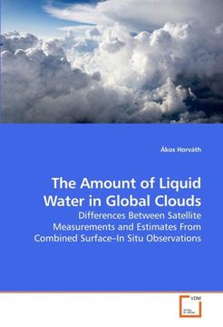 portada The Amount of Liquid Water in Global Clouds: Differences Between Satellite Measurements and Estimates From Combined Surface?In Situ Observations