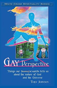portada Gay Perspective: Things our [Homo]Sexuality Tells us About the Nature of god and the Universe (en Inglés)